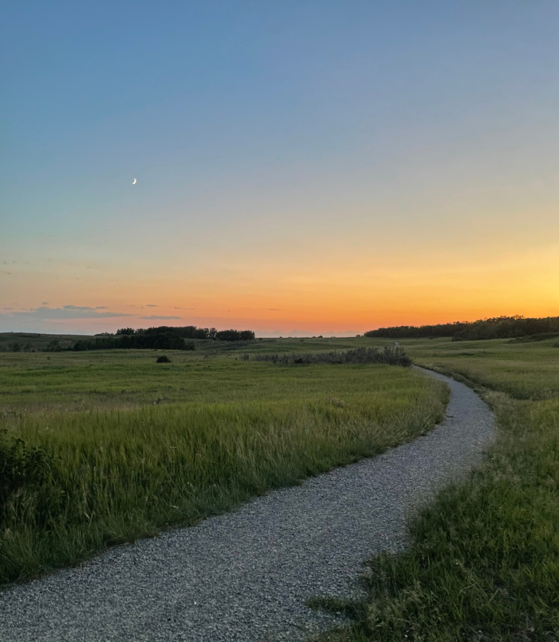 Pathway in a field and a sunset on the horizon